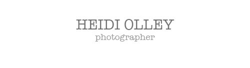 Heidi Olley Photography logo